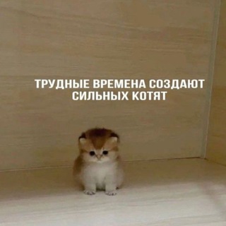 Telegram profile photo for Патрицианка дома Венериан|18+