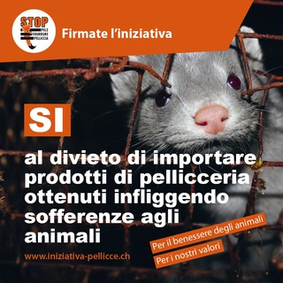 Telegram profile photo for Sì al divieto di importare prodotti di pellicceria / di foie gras / una limitazione dei fuochi d’artificio