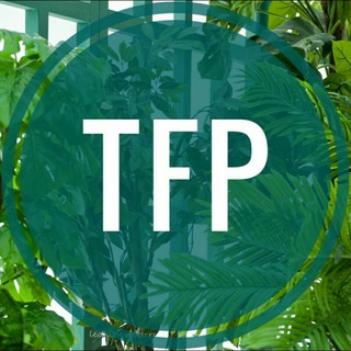 Telegram group profile photo for Ищу Модель. TFP (ТФП) Ищу Фотографа. Кастинг.