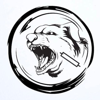 Telegram profile photo for PipsBull Channel (Malvin)