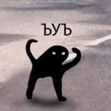 Telegram profile photo for будни психушки и ее владельца