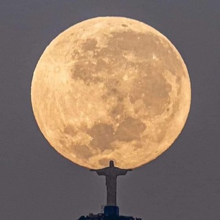 Telegram profile photo for Remote worldwide