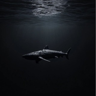 Telegram profile photo for madness’
