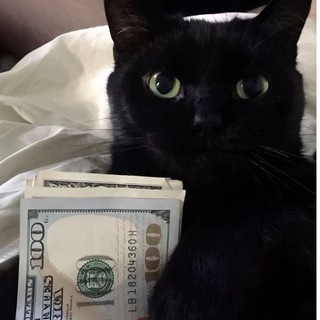 Telegram profile photo for молоко