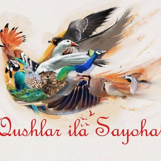 Telegram profile photo for Qushlar ila sayohat