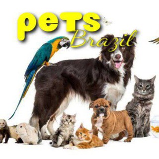 Telegram profile photo for 🐶Ⓟⓔⓣⓢ Ⓑⓡⓐⓩⓘⓛ😻