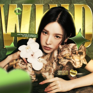 Telegram profile photo for архив ивени › 바람 ¡ ¡ ₍ wind ₎