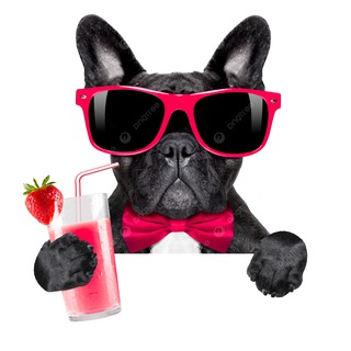 Telegram profile photo for Французский юмор