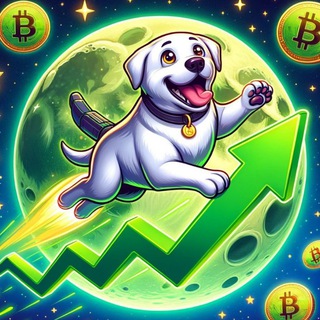 Telegram group profile photo for SOLABI | Community 🐾