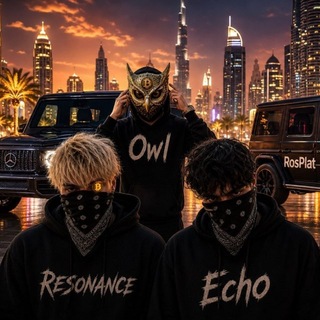 Telegram profile photo for Resonance TL