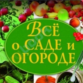 Telegram profile photo for САДЫ ДАЧИ ОГОРОДЫ (объявления/рынок) ТЮМЕНЬ