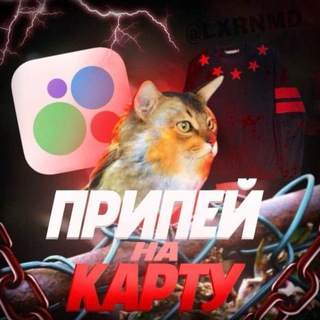Telegram profile photo for TRAP FEEDBACK