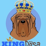 Telegram profile photo for KING DOSA PORTAL