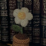 Telegram profile photo for ◆ مَأنـسُ المؤمِـن.