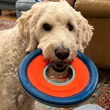 Telegram profile photo for English_with_Barry