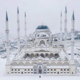 Telegram profile photo for اقتباسات شعر و خواطر
