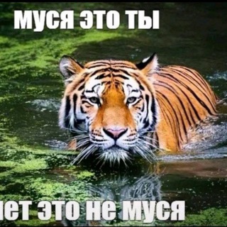 Telegram profile photo for аааааааааааааааааааааааааааааааааааааааааааааааааааааааааааааааааааааааааааааааааааааааааааааааааааааааааааааааааааааааааааааааа