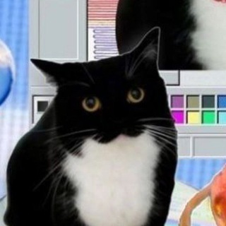Telegram profile photo for клоунширо боты