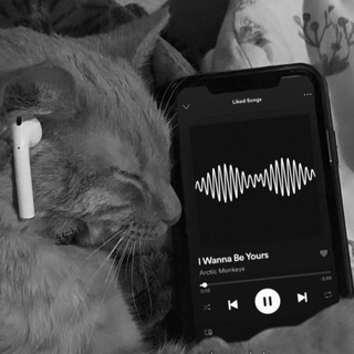 Telegram profile photo for Chanel Music friends