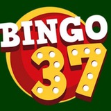 Telegram profile photo for Bingo 37 Канал