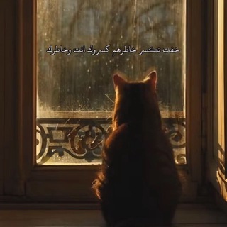 Telegram profile photo for لجميلتي🐅