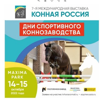 Telegram profile photo for ДСК-2026