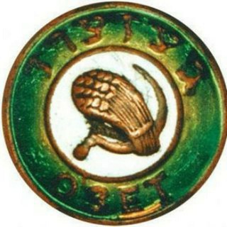 Telegram profile photo for KOПИПАСТ копипасти