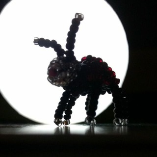 Telegram profile photo for Pumaja - Allerlei