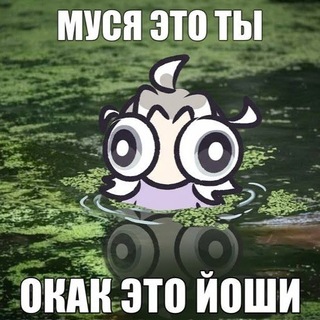 Telegram profile photo for Убежище хорошисиков✨