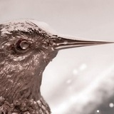 Telegram profile photo for song by lucy gray baird