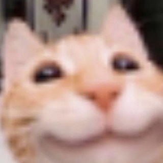 Telegram profile photo for Бездарь пилит