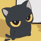 Telegram profile photo for kd