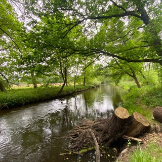 Telegram profile photo for Heilkreis Lüneburger Heide (insp. Kollektives Bewusstsein)
