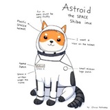 Telegram profile photo for Astroid the space shiba inu