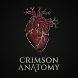 Telegram profile photo for Crimson Anatomy