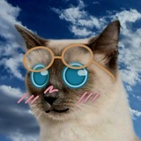 Telegram profile photo for 𝘾𝙤𝙛𝙞𝙩𝙚𝙧𝙞𝙖🪶