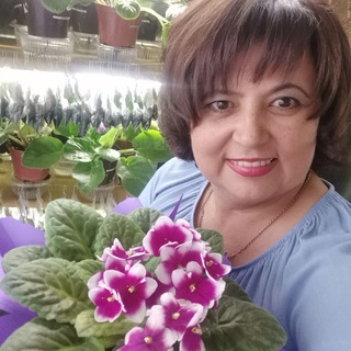 Telegram profile photo for Цветы (фиалки, фуксии, пеларгонии, розы и не только) от Светланы Бурняшевой
