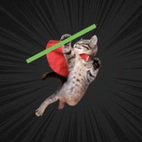 Telegram profile photo for Pump Cat CTO