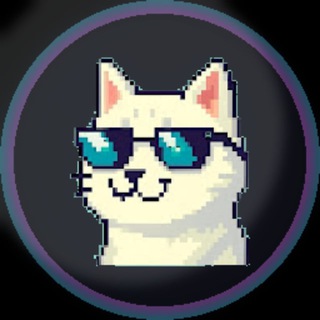 Telegram profile photo for 赛博飞行器