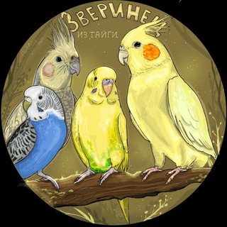 Telegram profile photo for Зверинец из тайги 🌱🐾