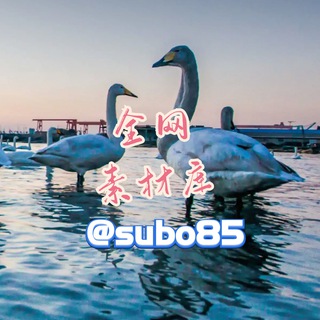 Telegram profile photo for 全 网 素 材 库🐮