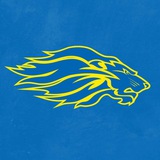 Telegram profile photo for Lviv Lions: American Football Team 🏈