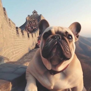 Telegram profile photo for 「暴富」出售微信号|原机微信|企业微信|支付宝|QQ|钉钉