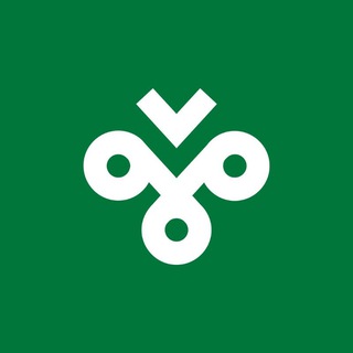 Telegram profile photo for X VPN