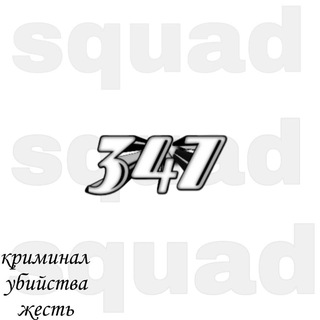 Telegram profile photo for 347 squad🥷