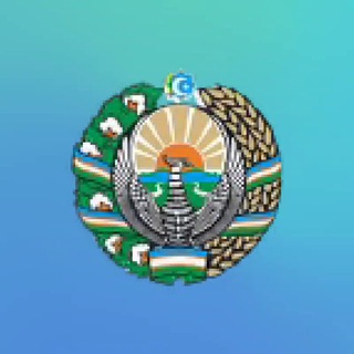 Telegram profile photo for Auditor