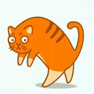 Telegram profile photo for Mushuklar Olami (Official)