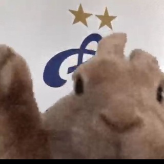 Telegram profile photo for Даня Кроль