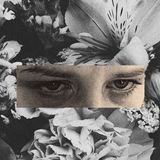 Telegram profile photo for another silence