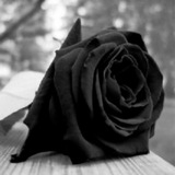 Telegram profile photo for 2+آنِٰـآمِٰلِِٰۢ مِٰـِۢرهـهقِٰـه❥